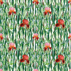 Vibrant Watercolor Iris Floral Pattern