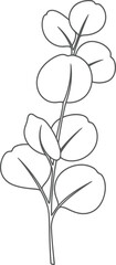 Eucalyptus branch line art simple botanical vector illustration