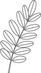 Line art branch with leaves, minimalist nature design element