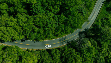 Car in rural road in deep rain forest with green tree forest view from above, Aerial view car in the forest on asphalt road background, Electric vehicle EV car drive asphalt road green tree forest