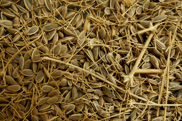 Close-up of dried seeds and straw