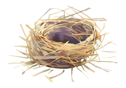PNG Bird Nest nest illustration nature.