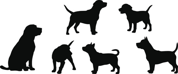 Silhouette of multiple dogs standing and sitting together, animal friendship, pet group, loyalty, outdoor lifestyle, domestic animal companionship illustration