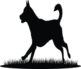 Silhouette of playful dog running on grass in outdoor nature park showing energetic pet activity and joyful animal motion