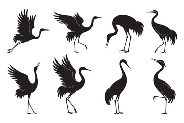 Crane bird silhouettes collection, elegant heron poses, flying and standing birds, wildlife illustration, nature animal design, graceful bird vector