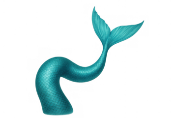 Mermaid tail with turquoise scales and fin, a fantasy mythical creature illustration on transparent background