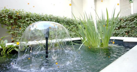 Pump pulse causing nozzle making water dome, droplets forming pond ripples for decoration - Powered by Adobe