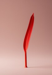 Heller, einzelner roter Kreidestrich, freigestellt auf neutralem Hintergrund. Minimalistisches, grafisches Element für Betonung oder Markierung, dirt, line, handmade