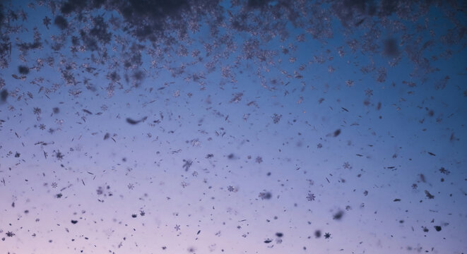 Image of falling snowflakes on a blue and violet gradient sky, representing winter weather, cold atmosphere and the gentle beauty of winter season - Powered by Adobe