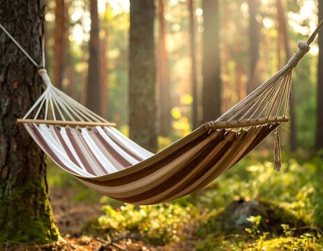 Striped hammock hangs between trees in a sunlit forest - Powered by Adobe