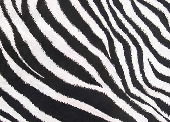 Seamless black and white zebra pattern with natural animal stripe design, perfect for fashion, textile, wallpaper, and modern background use. Monochrome abstract wildlife-inspired texture.