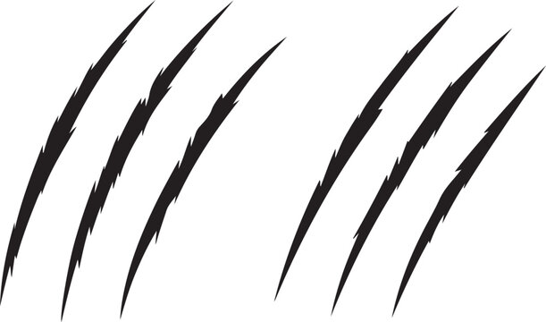Four Black Scratch Marks, Sign of Claws. Vector Black silhouettes. with white background