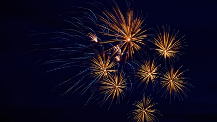 Fototapeta premium Colorful fireworks lighting up the night sky