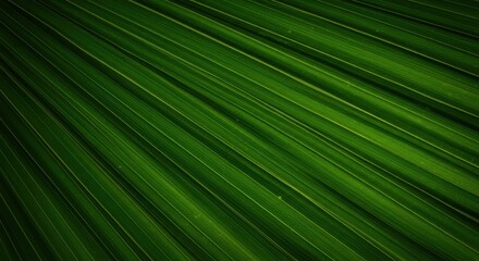 Detailed close-up of vibrant green tropical palm leaf surface creating a dynamic, organic, and highly textured background pattern ,fibrous, macro, detail