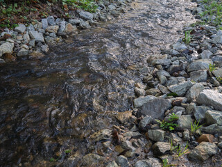Close-up of flowing stream with rocks and plants along the riverbank