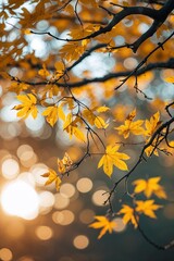 Autumn leaves glimmer in warm sunlight near a forest trail