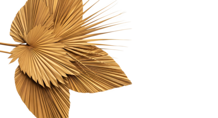 Dried palm leaves create a warm and inviting atmosphere, perfect for adding a touch of natural beauty to any space with their unique texture