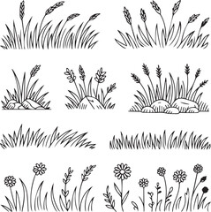 A collection of hand drawn grass and flower illustrations in black and white style