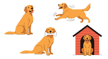 Vector illustration set of an adorable golden retriever dog demonstrating different actions and behaviors on a white background.