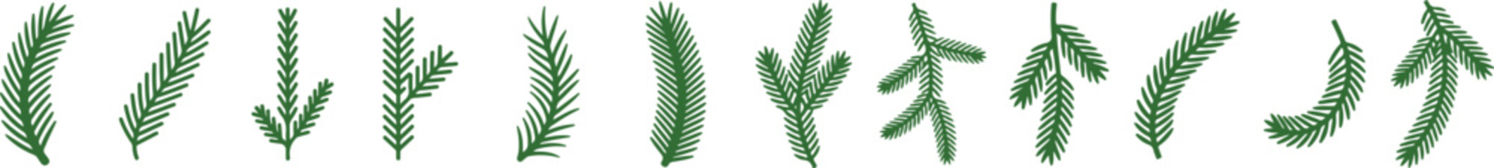 Set of green spruce and fir tree branches, natural evergreen festive decor Vector