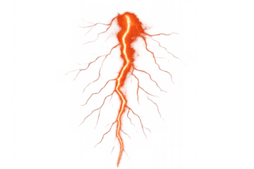 Orange lightning bolt striking with branches, simulating electrical energy, power, and a storm on transparent background