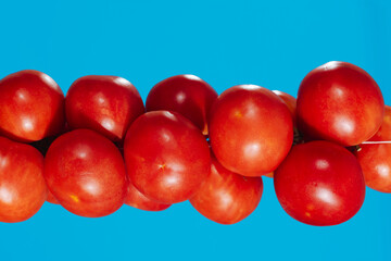 horizontal line of Spanish tomatoes