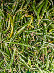 Harvesting Green Chilies, Market Scene, Agriculture Setting, Food Photography, Vibrant Environment, Aerial View, Fresh Produce Concept