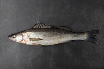 Whole unpeeled fresh zander or pike perch fish on grunge stone table background.