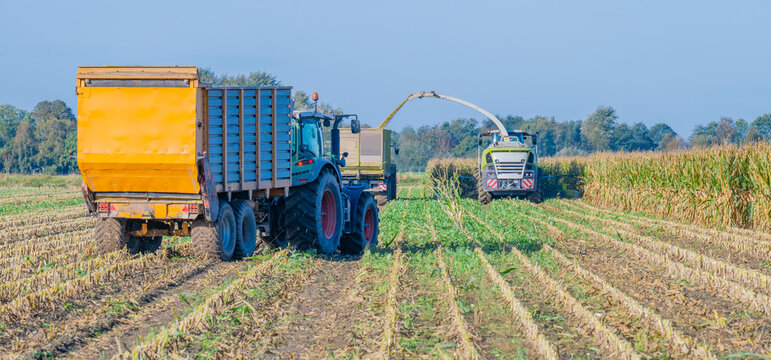Hamburg, Germany - August 18, 2025: Claas Jaguar 960 maize chopper and FENDT 930 Vario tractor with Veenhuis Super Silagewagon during the maize harvest