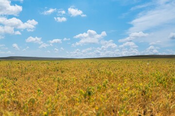 Fototapeta premium Beautiful hilly landscape in the foreground with blue sky