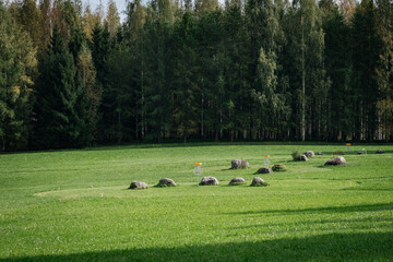 yellow discgolf baskets on the course
