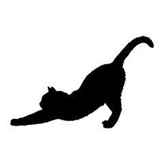 Obraz premium Black Cat Silhouette Stretching on White Background