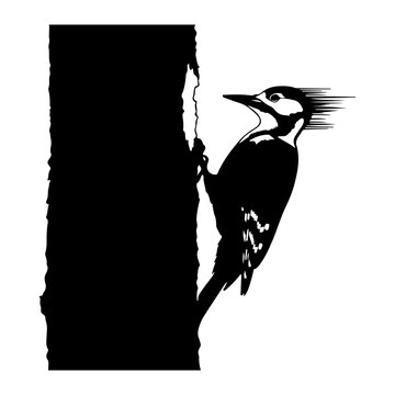 black woodpecker pecking tree trunk clip art preview