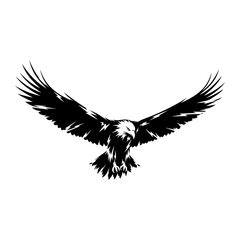 Obraz premium Silhouette of an eagle in flight with wings spread
