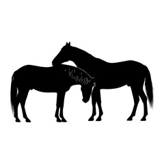 Obraz premium Two horses standing together in silhouette on white