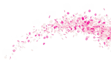 Pink petals scattered on black background view isolated illuustration on transparent background