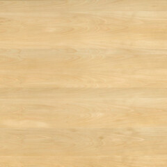 Beech Veneer Texture