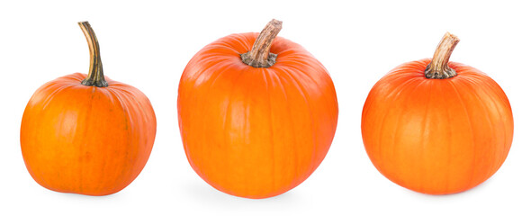 Fresh ripe pumpkins isolated on white, set