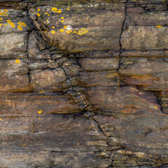 Sedimentary Rock Texture with Yellow Lichen