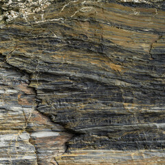 Beige and Grey Mudstone Texture