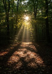 Obraz premium Sunlight filtering through colorful dense foliage, illuminating a quiet forest ground covered in scattered fallen leaves and shadows, peacefulness, colorful, quiet