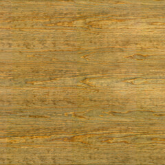 Green Washed Oak Wood Texture