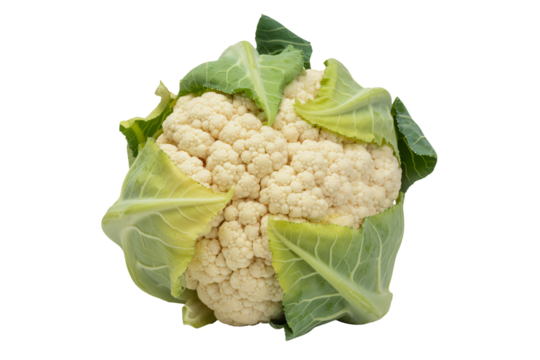 Fresh cauliflower head with vibrant green leaves, a versatile ingredient for healthy recipes and culinary creations promoting wellness and mindful eating