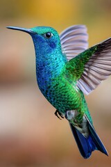 Naklejka premium Iridescent hummingbird hovering near colorful flowers in the garden
