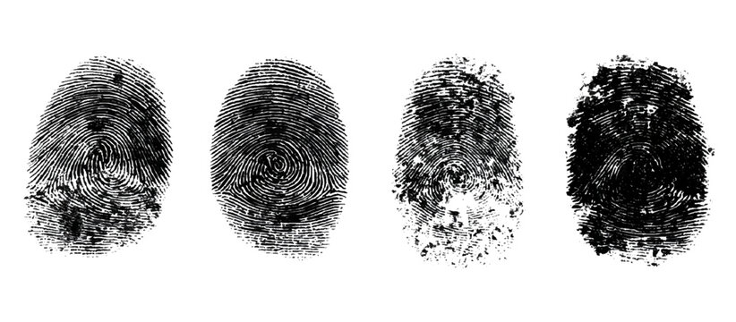 Set of black ink fingerprint marks on transparent background .fingerprint grunge texture abstract background .