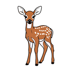 Fototapeta premium A baby Deer Vector Illustration/
