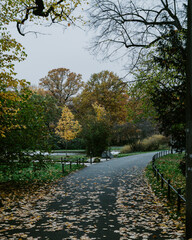 autumn in the park
