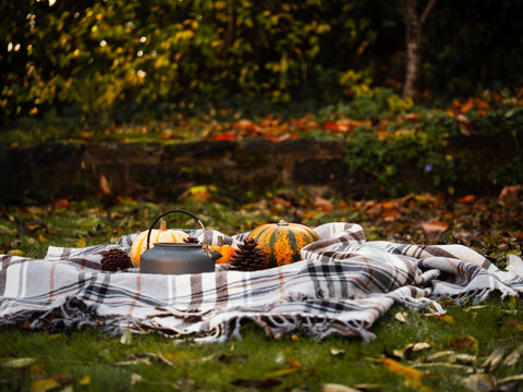 Camping kettle hanging in autumn tree