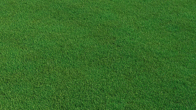 Green grass texture background. A perfectly manicured Sports field / Pitch / Garden Lawn wallpaper.  