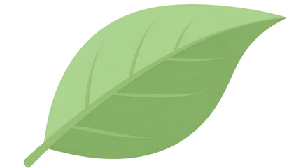 Stylized botanical illustration shows a single green leaf against a solid black background.
